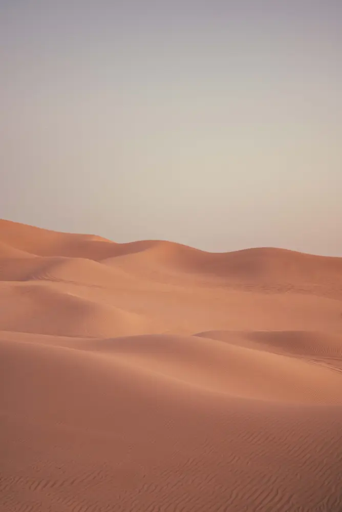 Dubai — photograph by Nico Vero