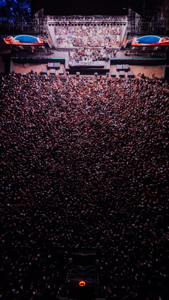 Panorama Festival — photograph by Nico Vero