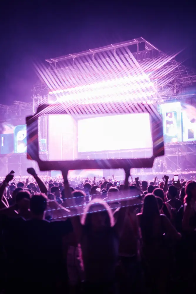 Panorama Festival — photograph by Nico Vero