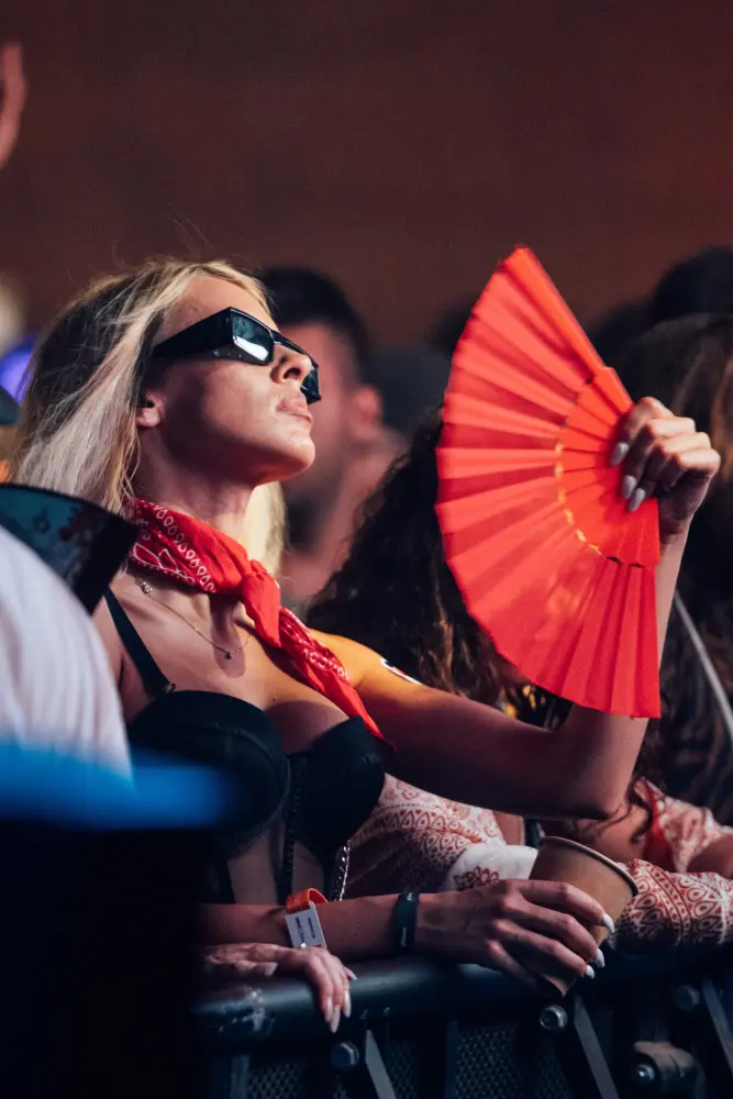 Panorama Festival — photograph by Nico Vero