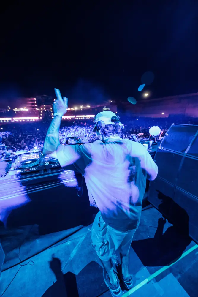 Panorama Festival — photograph by Nico Vero
