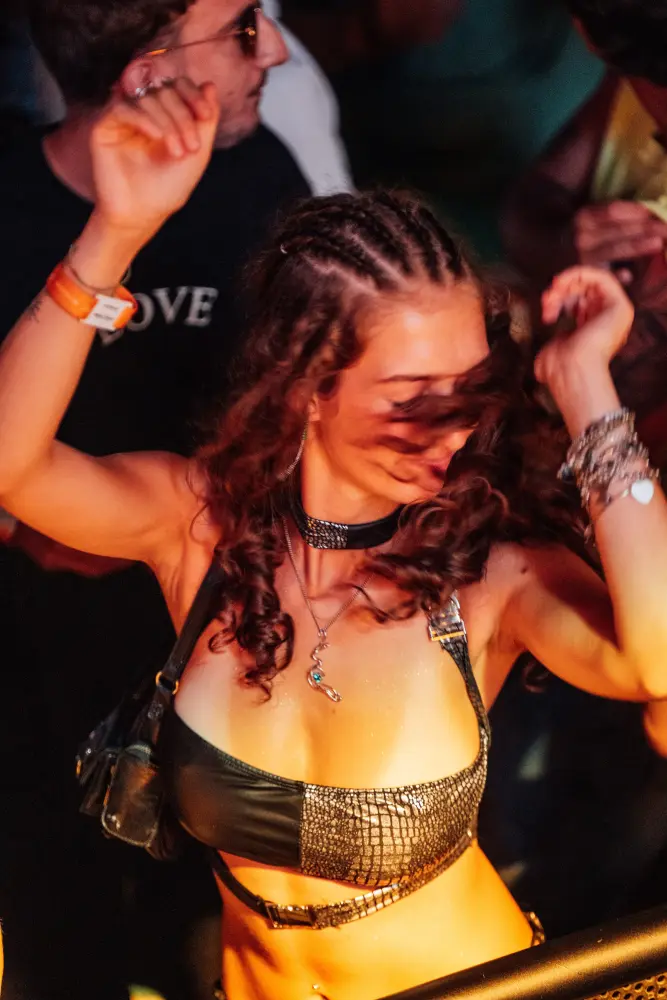 Panorama Festival — photograph by Nico Vero