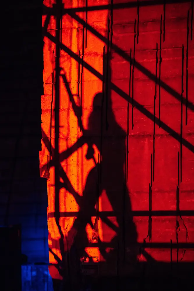 Panorama Festival — photograph by Nico Vero