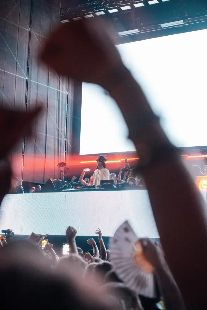 Panorama Festival — photograph by Nico Vero