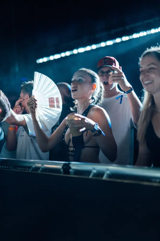 Panorama Festival — photograph by Nico Vero
