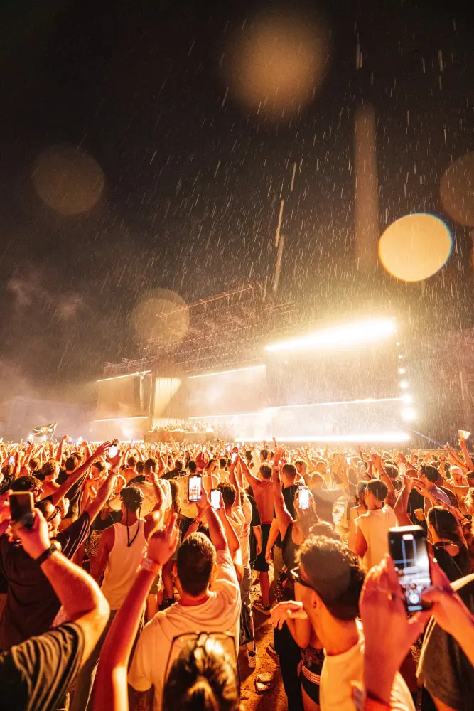 Panorama Festival — photograph by Nico Vero