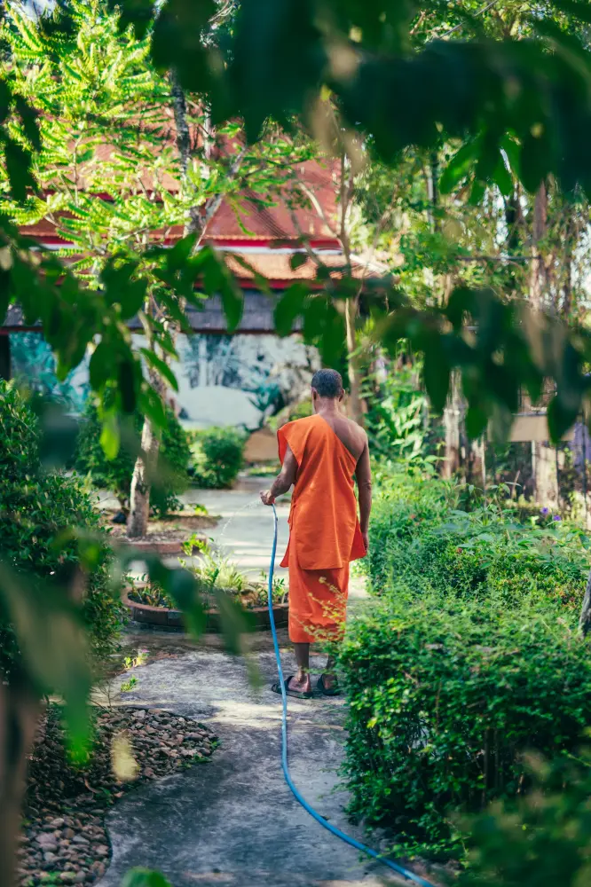 Thailand — photograph by Nico Vero