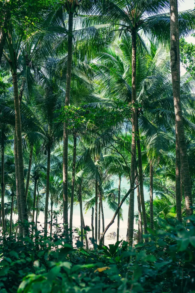 Thailand — photograph by Nico Vero