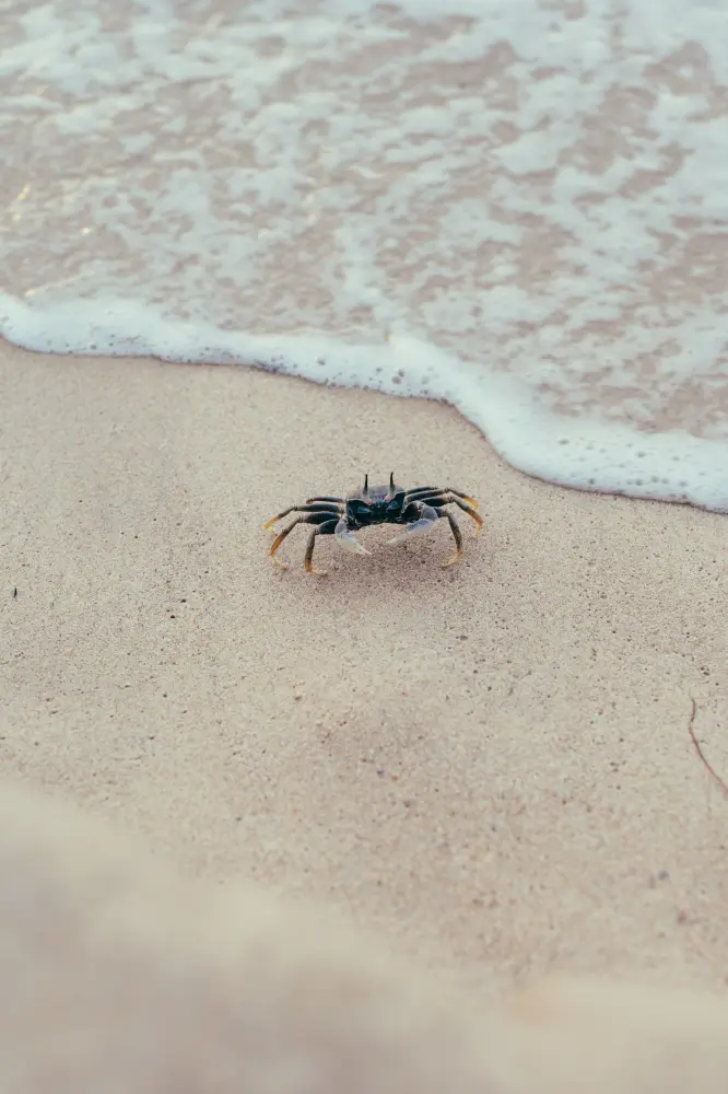 Thailand — photograph by Nico Vero